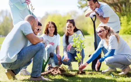 Challenges of planting trees in summer, highlighting heat and drought stress.