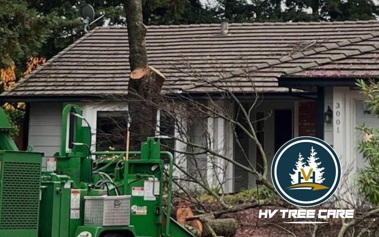 Fallen tree on driveway after a storm, emergency crew on site