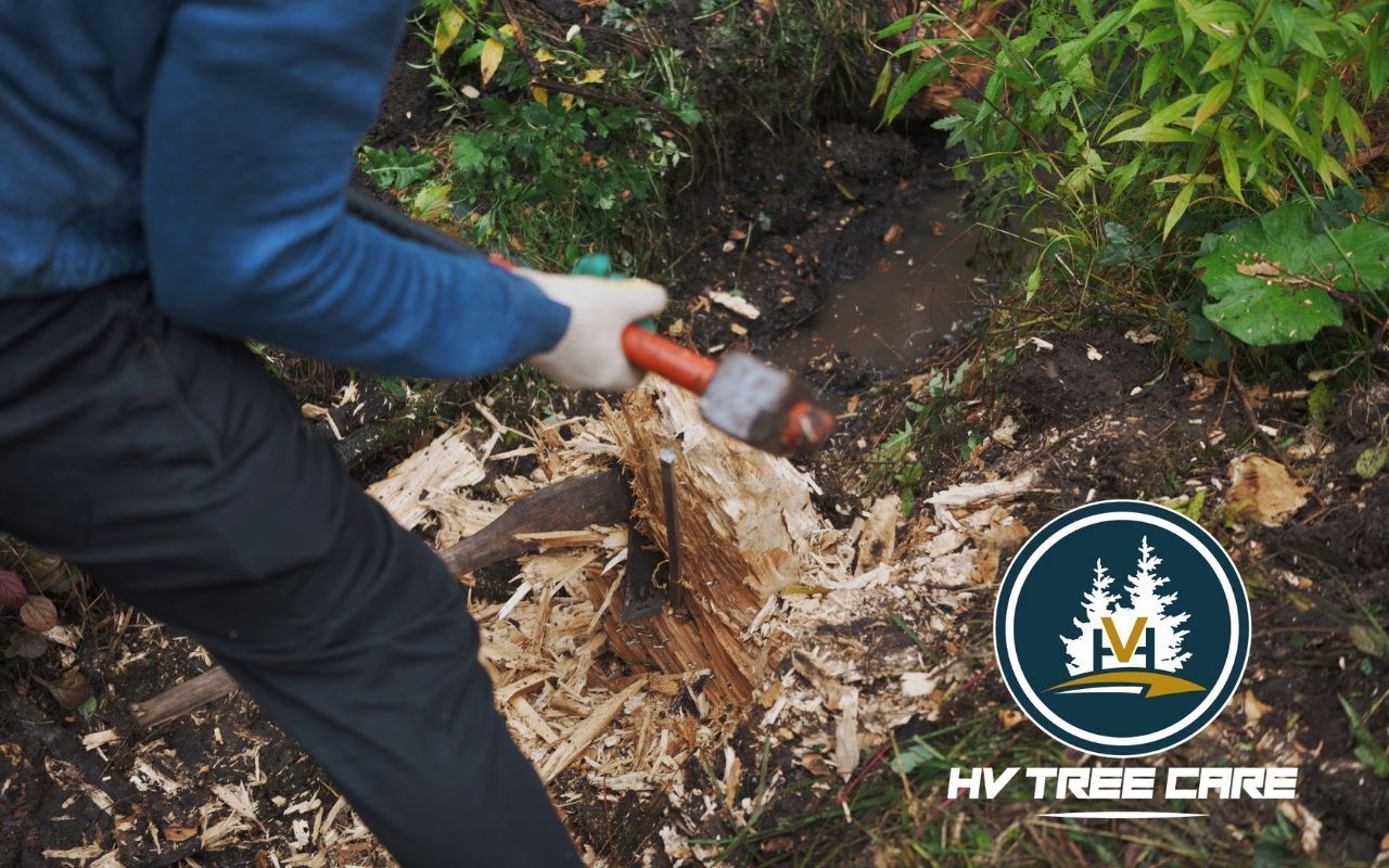 Homeowner digging out a tree stump manually in backyard